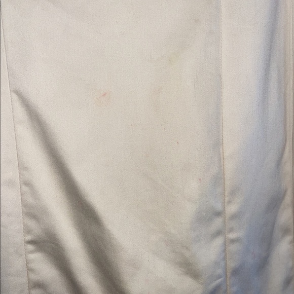 The Limited Dress - Picture 5 of 5